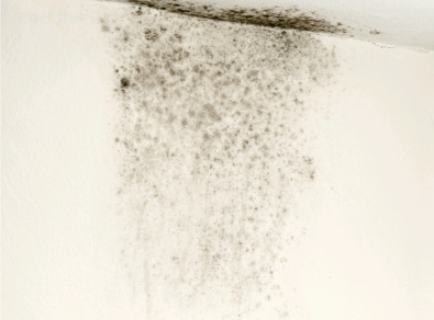 임실 주택 아파트 공장 결로검사 결로공사 시공업체