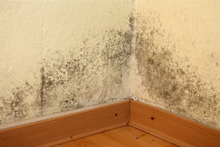 임실 주택 아파트 공장 결로검사 결로공사 시공업체M