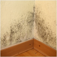 임실 주택 아파트 공장 결로검사 결로공사 시공업체-6106370